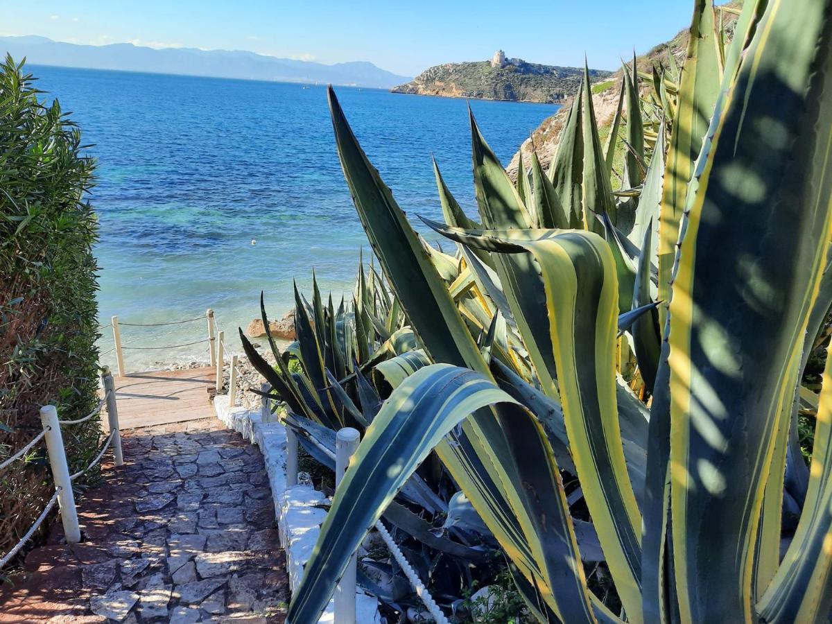 Apartmán Zenflamingo Mini Monolocale Cagliari Exteriér fotografie